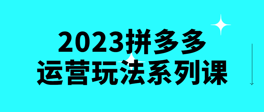 2023拼多多运营玩法系列课 - 吾爱软件库