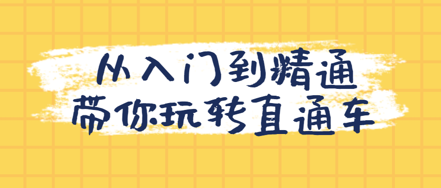 从入门到精通带你玩转直通车 - 吾爱软件库