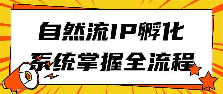 自然流IP孵化系统掌握全流程 - 吾爱软件库