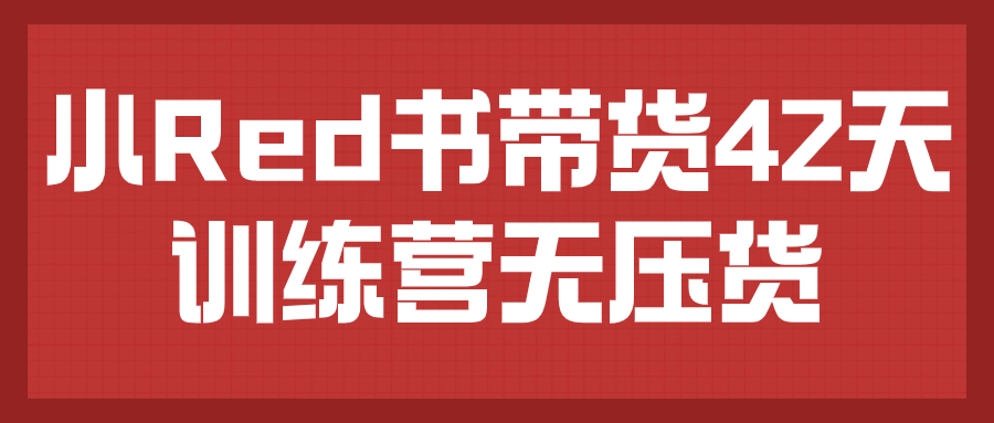 小Red书带货42天训练营无压货 - 吾爱软件库