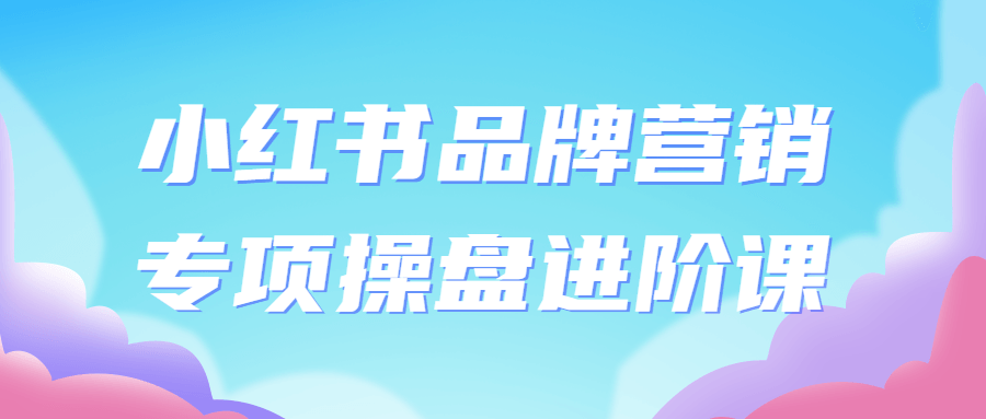 小红书品牌营销专项操盘进阶课 - 吾爱软件库