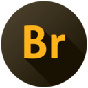 Adobe Bridge 2021 v11.0.2.123.0