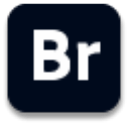 Adobe Bridge 2022 v12.0.2.252