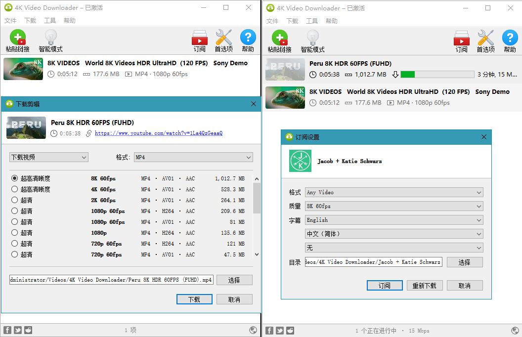 4K Video Downloader v4.29.0.5640 - 吾爱软件库