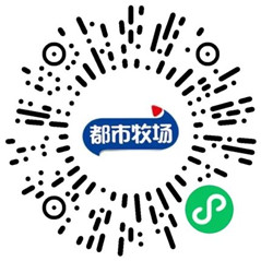 都市牧场小程序趣味测试抽最高200元微信红包 亲测中0.3元 - 吾爱软件库